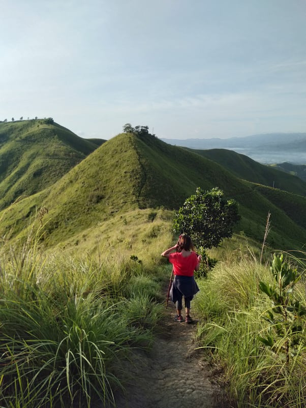 bohol travel guide - alicia panoramic park