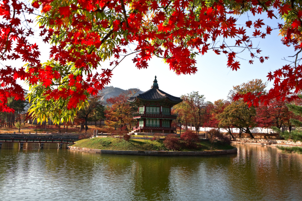 best christmas destinations - south korea