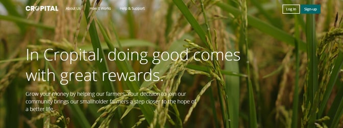 crowdfunding platforms philippines - Cropital