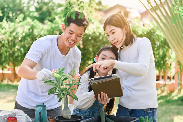 what to do for the long weekend - start a vegetable garden