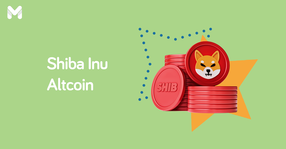 shiba inu coin l Moneymax